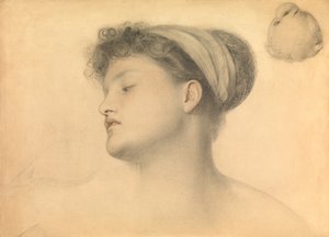 鳩を持つ少女のための研究（鉛筆と紙に色の付いたチョーク）